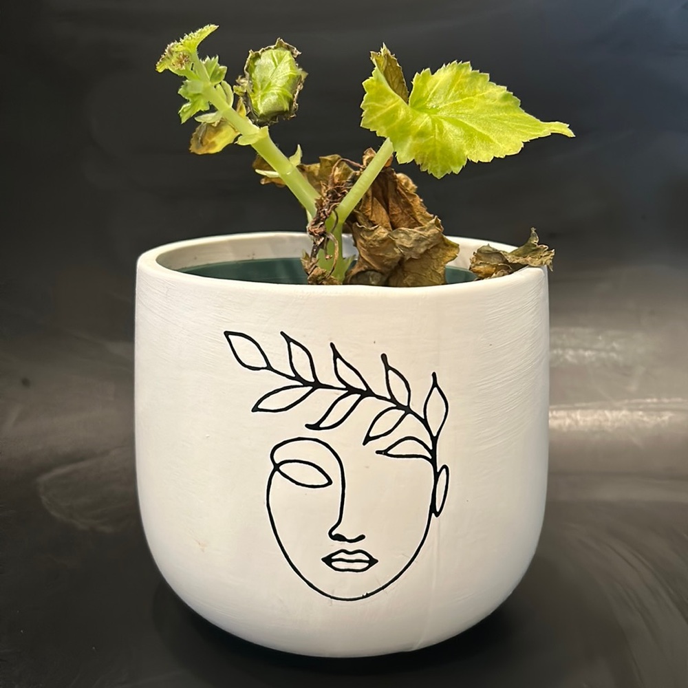 Decorative Plant Holder